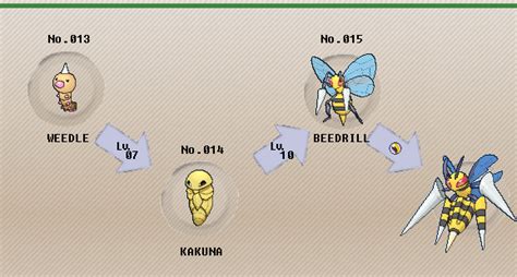 what does beedrill evolve into.